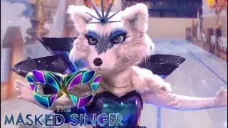 Arctic Fox sings 