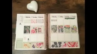 Plan with me January 18, 2021/ ECLP Vertical Neutral/ Apricot Tree Planning