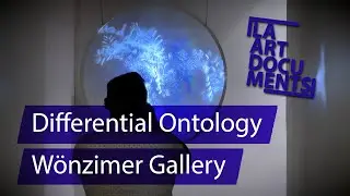 Differential Ontology / W&ouml;nzimer Gallery