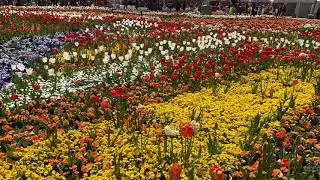Floriade 2019 Canberra