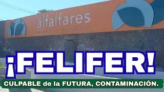 ALFALFARES, POSIBLE CONTAMINACI&Oacute;N. (Felifer futuro responsable)