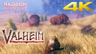 Valheim | 4K | Ultra Graphics | 6900 XT