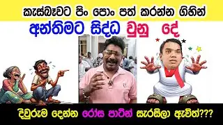 Lesson 1045–කැස්බෑවට පිංපොං දාන්න ගිහින් මොකද උනේ ඇත්තටම?English in Sinhala|  Ideal guide to English