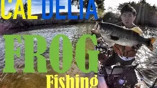 Fishing the California Delta in Slayer Propel Kayak (Frog Bass Fishing)