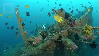 Boga wreck with Jaunt / Divepro Vision Pro +