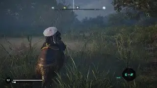 Assassin's Creed Valhalla Trawll Fight