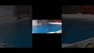 Dubai Dolpharium, Creek Park Dubai UAE
