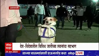 Dog Show Amravati : अमरावतीमध्ये अनोखं डॉग शोचं आयोजन, अनेक जातींचे श्वान बघायची अमरावतीकरांना संधी