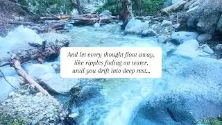 Guided Sleep: Forest Sanctuary | Evening Wind-Down Meditation