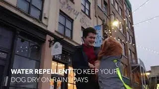 RC Pets : Starling Reflective Jacket