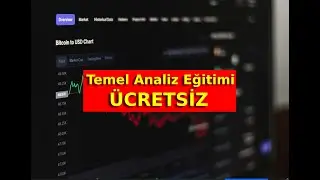 Faaliyet Raporu Nasıl Okunur? | Bilan&ccedil;o, Gelir, Nakit Akım Tabloları - &Uuml;cretsiz Temel Analiz Eğitimi