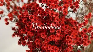 Послание: Проявленность проводника из сознания ЕДИНСТВА🕊️🤍(17.01.26) #бог #любовь 