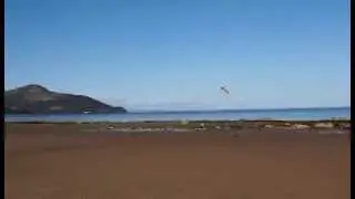 RC Scratchbuilt Coroplast Biplane