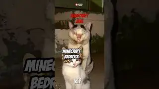 MINECRAFT BEDROCK VS JAVA 😈  #cat #meme #shorts #minecraft