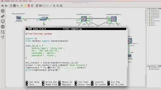 Python network automation, BGP and IOS regular expressions (regex). Search output (Part 1).