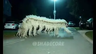 Neighborhood #skinwalker