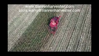 corn head# agriculture # tianren corn harvester