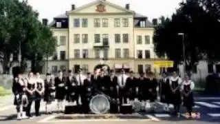 Saint Patrick's Battalion (David Rovics)