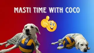 Masti Time With Coco 🤓|| Dog playing Football ⚽️