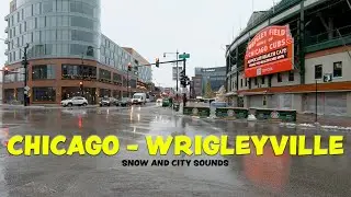 Walking Historic Chicago - Wrigleyville (Snow and City Sounds)