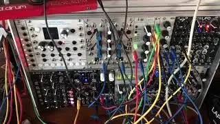 modular synth QUADNIC,Braids
