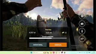 Рыбалка ловили Полтава и Карась Озеро Лесни Вила 