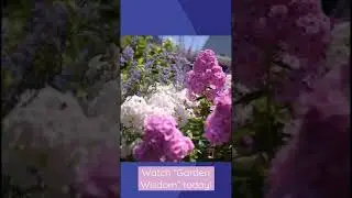 Share your #GardenWisdom with us!🪴 #wnedpbs #gardeningtips #gardening #gardentricks #plants
