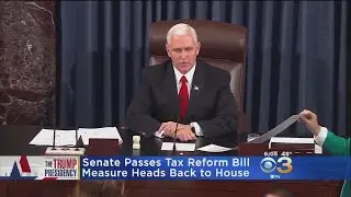Senate Passes Tax Reform Bill