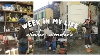 winter wonders: week in my life during winter break