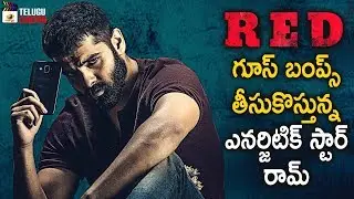 Ram RED Movie Shooting Update | Kishore Tirumala | Sravanthi Ravi Kishore | Mani Sharma
