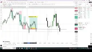 Discipline Trading  Live Stream
