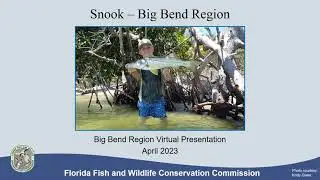Snook - Big Bend Region 2023 Recorded Presentation