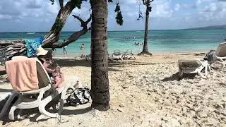 Numb nuts 🥜 #fool #fools #tourist #jamaica #jamaica #jamaican 