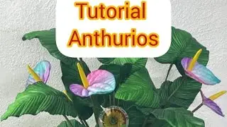 Anturios