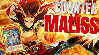 BRAND NEW TENYI Support COUNTERS Maliss?? Or Wishful Thinking? | Yu-Gi-Oh! Master Duel