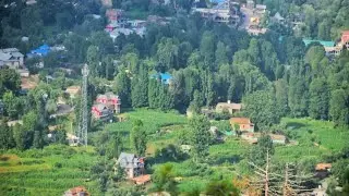 gool valley