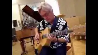 Ad Vermeer Slide gitaar