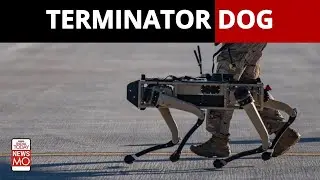 Terminator Dog Deployed At U.S Border | NewsMo | India Today
