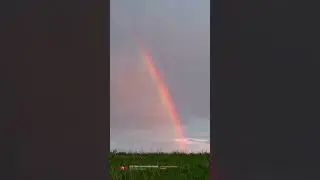 Quick Calm | Rainbow Meditation | 963 Hz for Light, Alignment & Feminine Clarity #shorts