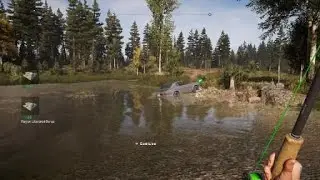 Far Cry&reg; 5 - Gone Fishing side mission completed