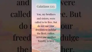 Scripture Challenge | Galatians 5:13 | Bringing Scripture to Life