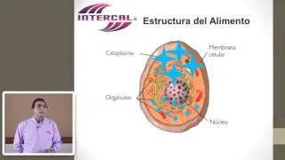 Capitulo 1 Teoria Tuneles de Congelacion Rapida