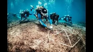 What is Blue Corner Marine Conservation?