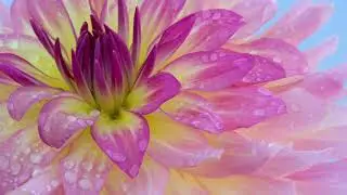 🌺BEAUTIFUL ROMANTIC PIANO MUSIC & PIANO SOLO/novelty from the composer 2020