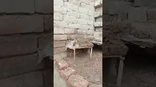 mini toys #flute #music #instrument #funny #waterpump #construction #tubewell #vlog