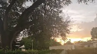 Backyard Harmony