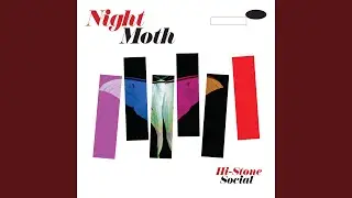 Night Moth