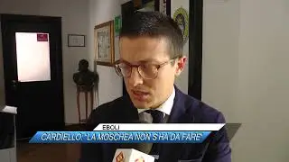 ✅ EBOLI, CARDIELLO: 