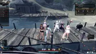 All Lynn Fun! - Vindictus Ulchas & Havan