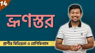14. ভ্রুণস্তর। Germ Layer। Ectoderm। Endoderm। Mesoderm